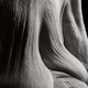 Illustration for article titled What the human body looks like at 100 years old